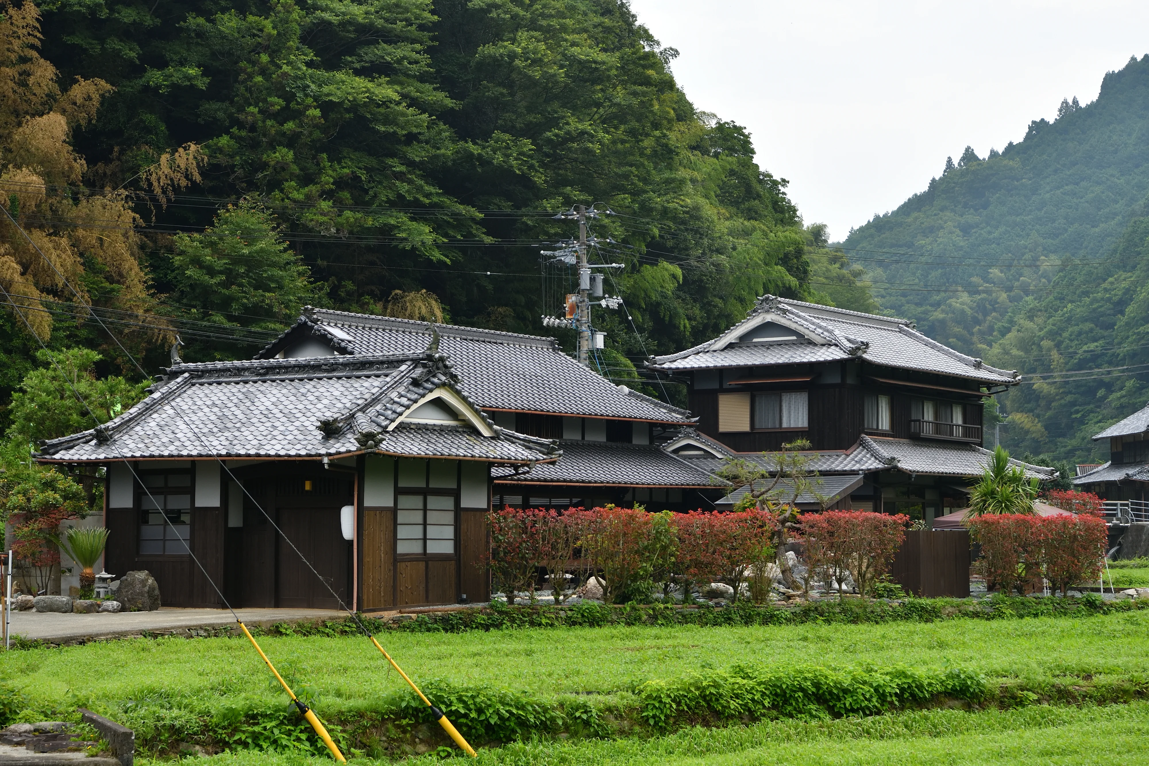 写真：外観